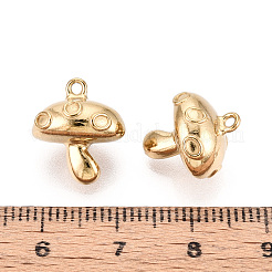 304 Stainless Steel Charms&nbsp;STAS-T067-94G