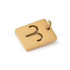 304 Stainless Steel Charms&nbsp;LS-STAS-R001-03G-01