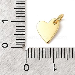 Brass Pendants&nbsp;KK-I364-01G-02