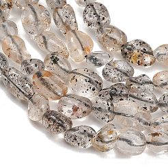 天然な黒雲母ビーズ連売り  ナゲット  タンブルストーン  6~10.5x5.5~7.5x3~6mm  穴：0.8mm  約50~54個/連  14.96''（38センチメートル）&nbsp;GG-CBAC61B-B02-02-A