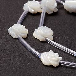 Natural Trochid Shell/Trochus Shell Beads Strands&nbsp;SSHEL-O001-21B