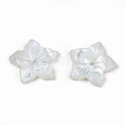 Natural White Shell Beads&nbsp;SSHEL-N027-131A-01-1