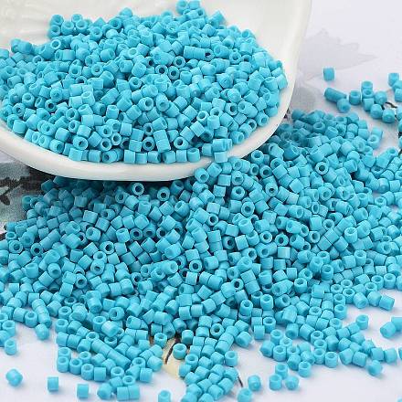 Baking Paint Glass Seed Beads SEED-S042-05B-58-1