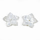 Natural White Shell Beads&nbsp;SSHEL-N027-131A-01-4