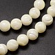 Shell Beads Strands&nbsp;SSHEL-E571-39-4mm-3
