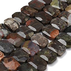 Natural Wealth Stone Beads Strands&nbsp;G-C285-A09-01