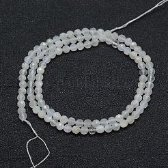 Natural White Moonstone Beads Strands&nbsp;G-E411-07-4mm