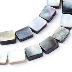 Natural Black Lip Shell Bead Strands&nbsp;SHEL-S249-34