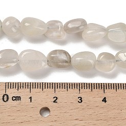 天然ホワイトムーンストーンビーズ連売り  ナゲット  タンブルストーン  7~13x4.5~10x4.5~10mm  穴：1.2mm  約44~46個/連  15.08~16.14インチ（38.3~41cm）&nbsp;G-P497-01E-69C