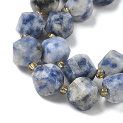 Natural Blue Spot Jasper Beads Strands&nbsp;G-U023-A05-01
