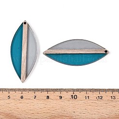 Transparent Resin & Wood Pendants&nbsp;RESI-T057-63A
