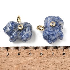 Natural Blue Spot Jasper Carved Pendants&nbsp;GG-CBA105B-03G-G