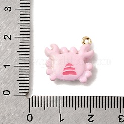 Alloy Enamel Pendants&nbsp;FIND-Z119-08G-02