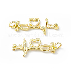 Rack Plating Brass Pendants&nbsp;KK-B065-02G