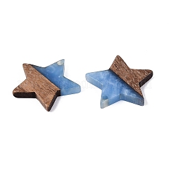 18Pcs 9 Styles Transparent & Opaque Resin & Walnut Wood Pendants&nbsp;RESI-N053-16