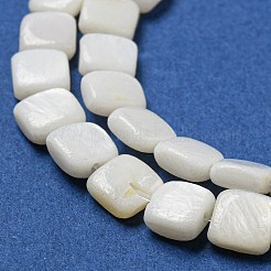 天然淡水シェルビーズ連売り  正方形  ゴーストホワイト  6~6.5x5.5~6x2.5~3mm  穴：0.8mm  約61~62個/連  14.17~14.49インチ（36~36.8cm）&nbsp;SHEL-C005-05