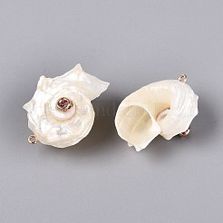 Electroplated Golden Brass Trim Natural Spiral Shell Pendants&nbsp;SSHEL-Q101-07