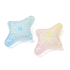 Printed Transparent Acrylic Beads&nbsp;AC-CBAC4EE-05