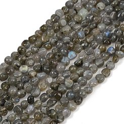 Natural Labradorite Beads Strands&nbsp;G-Q060-B02