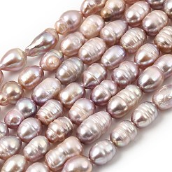 Natural Cultured Freshwater Pearl Beads Strands&nbsp;PEAR-F020-05B