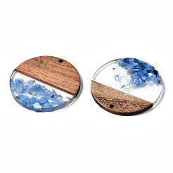 Transparent Resin & Walnut Wood Pendants&nbsp;RESI-T035-24-A02