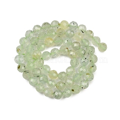 Natural Prehnite Beads Strands&nbsp;G-G281-B02-6mm
