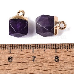 Natural Amethyst Pendants&nbsp;G-N359-18G-05