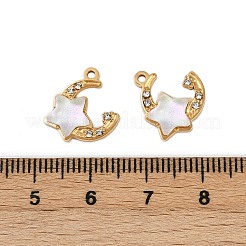 304 Stainless Steel Resin Charms&nbsp;STAS-L290-40G
