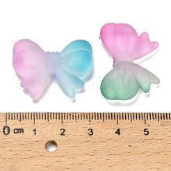 つや消し透明なアクリルビーズ  蝶結び  ツートン  ミックスカラー  22x29x7mm  穴：2.5mm&nbsp;OACR-D315-04