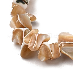 Natural Trochid Shell/Trochus Shell Beads Strands&nbsp;SHEL-B003-02A