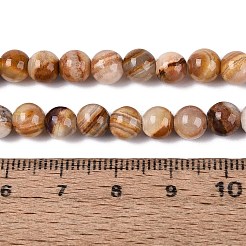 Natural Wood Lace Stone Wooden Jasper Beads Strands&nbsp;G-B128-A04-02