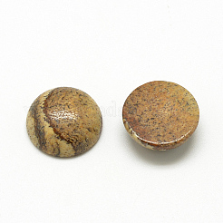 Natural Picture Jasper Cabochons&nbsp;G-R416-12mm-42