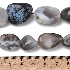 Natural Botswana Agate Beads Strands&nbsp;G-L650-D03-04