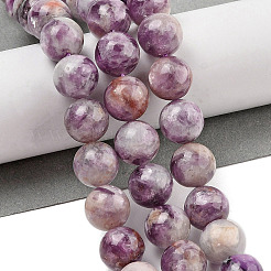 Natural Lepidolite/Purple Mica Stone Beads Strands&nbsp;G-G160-A01-02