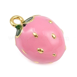 Brass Enamel Charms&nbsp;KK-I352-09G-01