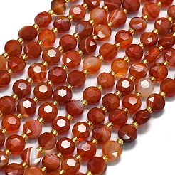 Natural Red Striped Agate/Banded Agate(Dyed & Heated) Beads Strands&nbsp;G-C116-A28-02