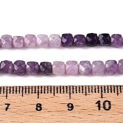 Gradient Color Natural Lepidolite Beads Strands&nbsp;G-N342-138B