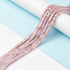 Natural Rhodonite Beads Strands&nbsp;X-G-F631-K20