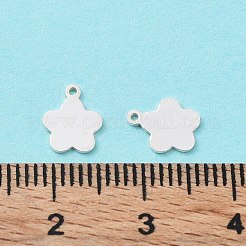925 Sterling Silver Charms&nbsp;STER-F053-13S
