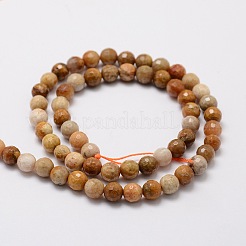 Faceted Round Natural Fossil Coral Bead Strands&nbsp;G-L437-03-6mm