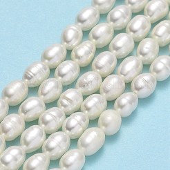 天然養殖淡水パールビーズ連売り  ライス  リネン  4.5~6x4~4.5mm  穴：0.6mm  約62個/連  14.37''（36.5センチメートル）&nbsp;PEAR-J006-14C-01