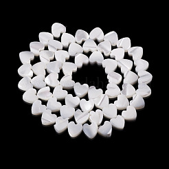 1 Strand Natural Trochid Shell/Trochus Shell Beads Strands&nbsp;BSHE-TA0001-39