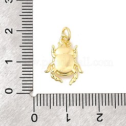 真鍮チャーム  長持ちメッキ  鉛フリー＆カドミウムフリー  ラックめっき  丸カン付き  18KGP本金メッキ  昆虫  16x11.5x3mm  穴：4mm&nbsp;KK-I364-05P-06