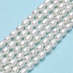 天然養殖淡水パールビーズ連売り  ライス  リネン  4~4.5x3~3.5mm  穴：0.5mm  約84~85個/連  14.37''~14.56
