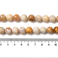 Natural Crazy Lace Agate Beads Strands&nbsp;G-H298-A12-04