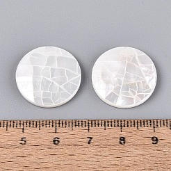 Natural White Shell Cabochons&nbsp;BSHE-T014-49