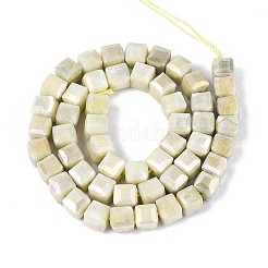 Anti-Tarnish Electroplate Glass Beads Strands&nbsp;GLAA-T025-8mm-10F
