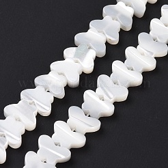 Natural Trochus Shell Beads Strands&nbsp;SSHEL-H070-05