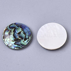 Natural Abalone Shell/Paua Shell Cabochons&nbsp;SSHEL-N034-45
