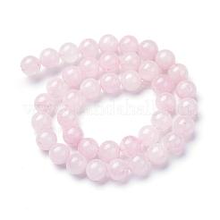 Natural Rose Quartz Bead Strands&nbsp;G-R412-03-6mm